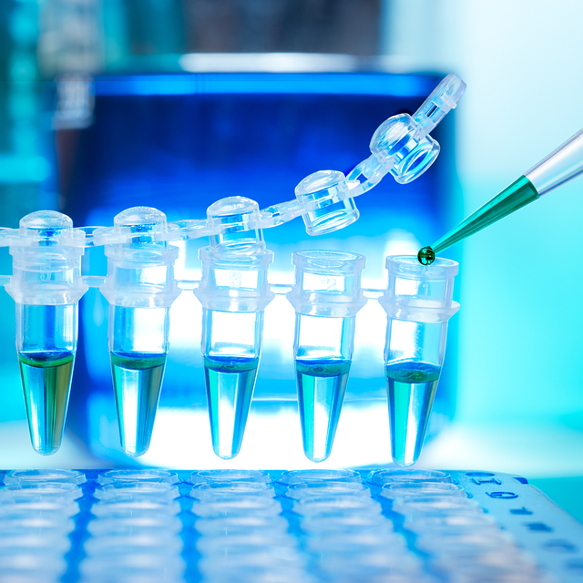 探究反應型發泡催化劑對聚氨酯硬泡閉孔率和熱導率的影響