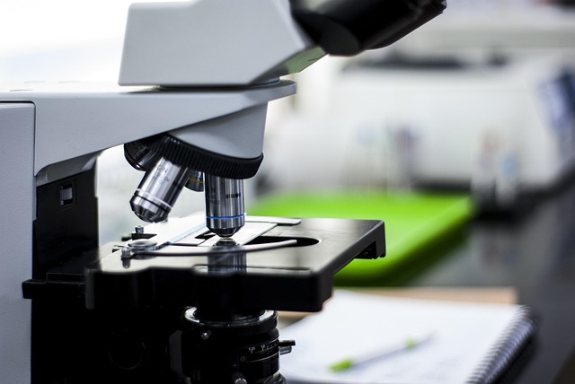 適用于聚氨酯涂料和膠黏劑的新癸酸鋅催化劑，提升初期強(qiáng)度