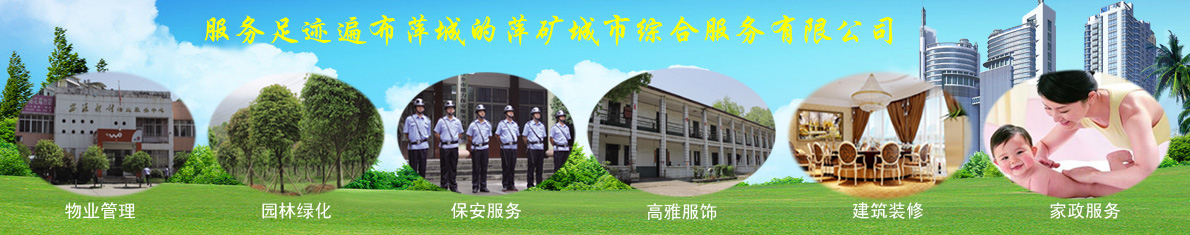 N-甲基二環己胺在制備聚氨酯粘合劑和涂料中的應用