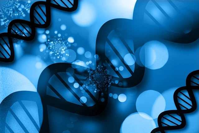 聚氨酯泡沫催化劑與硅油穩泡劑的相互作用機制研究